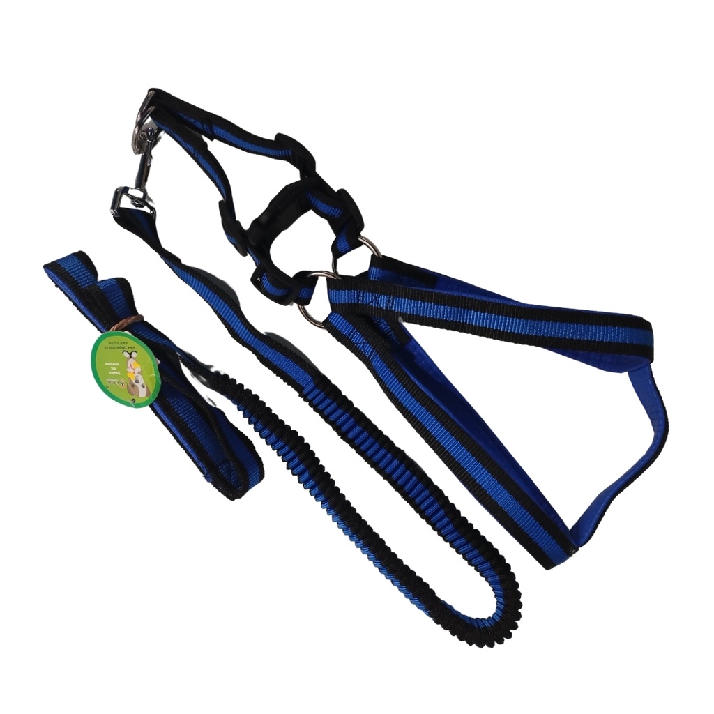 Conjunto pretal y correa elastizada 20mm