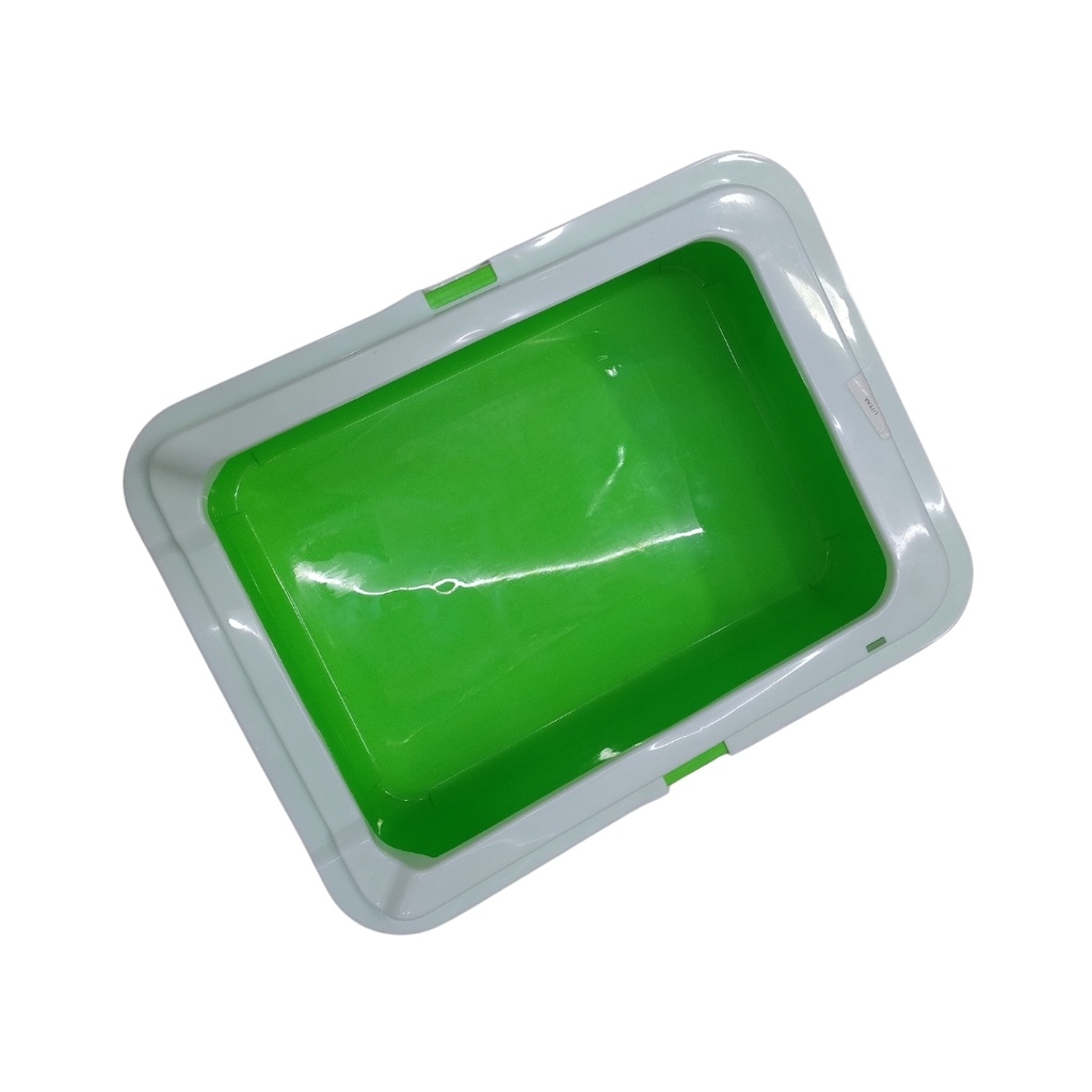 Litera con borde verde grande