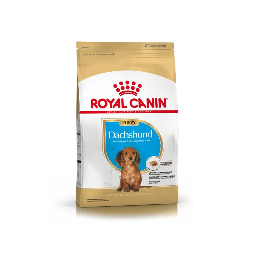 Royal Canin Dog Dachshund Puppy x 1kg