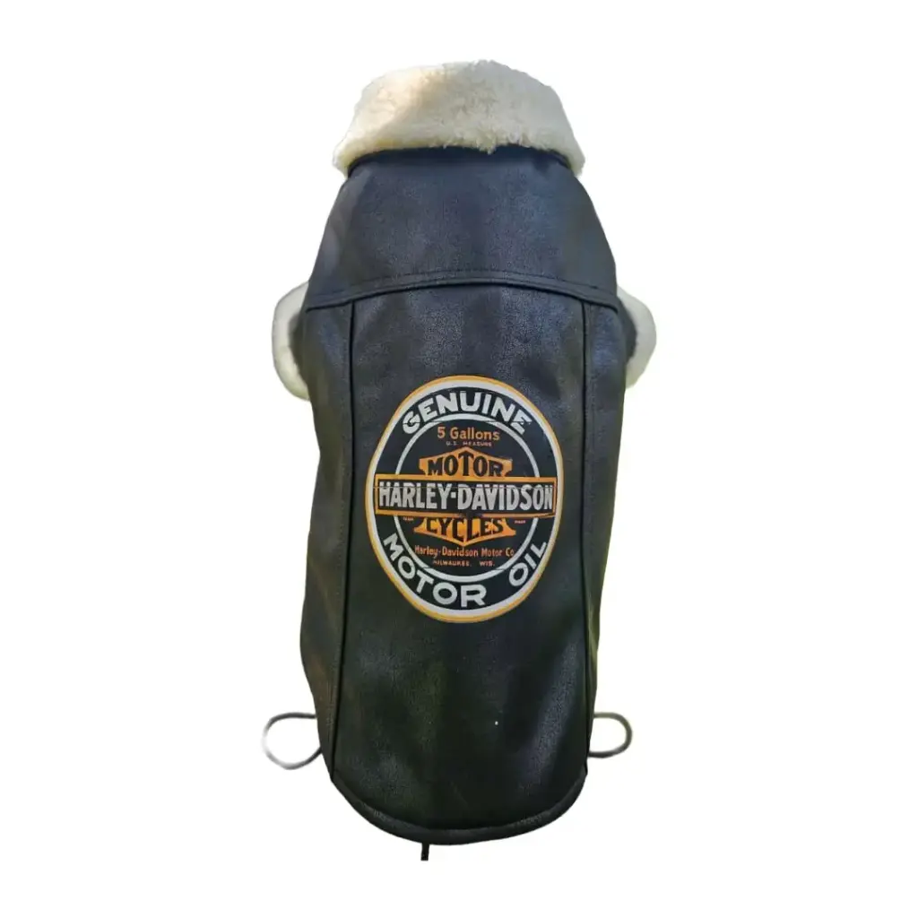 Campera de ecocuero y corderito Talle 4