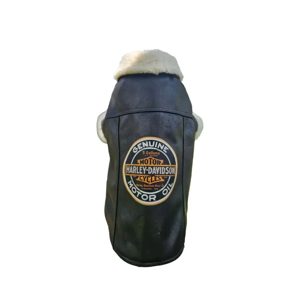 Campera de ecocuero y corderito Talle 8