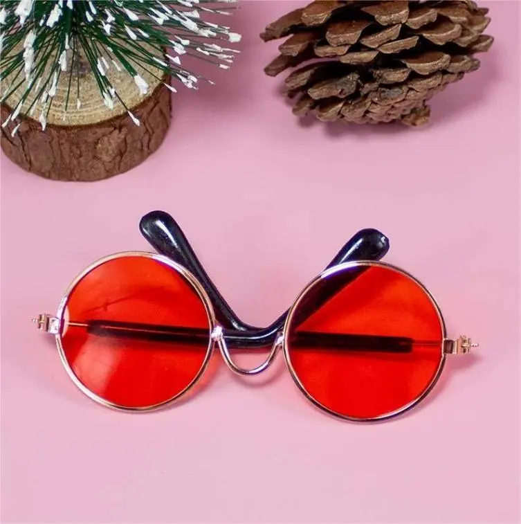 Lentes para mascota