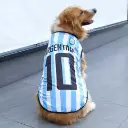 Camiseta selección argentina Talle XL