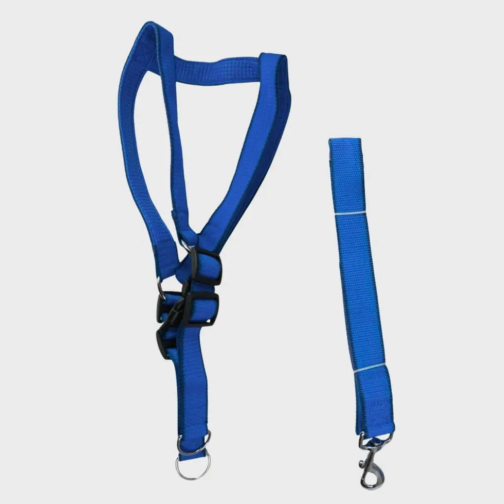 Conjunto pretal y correa soft 4cm