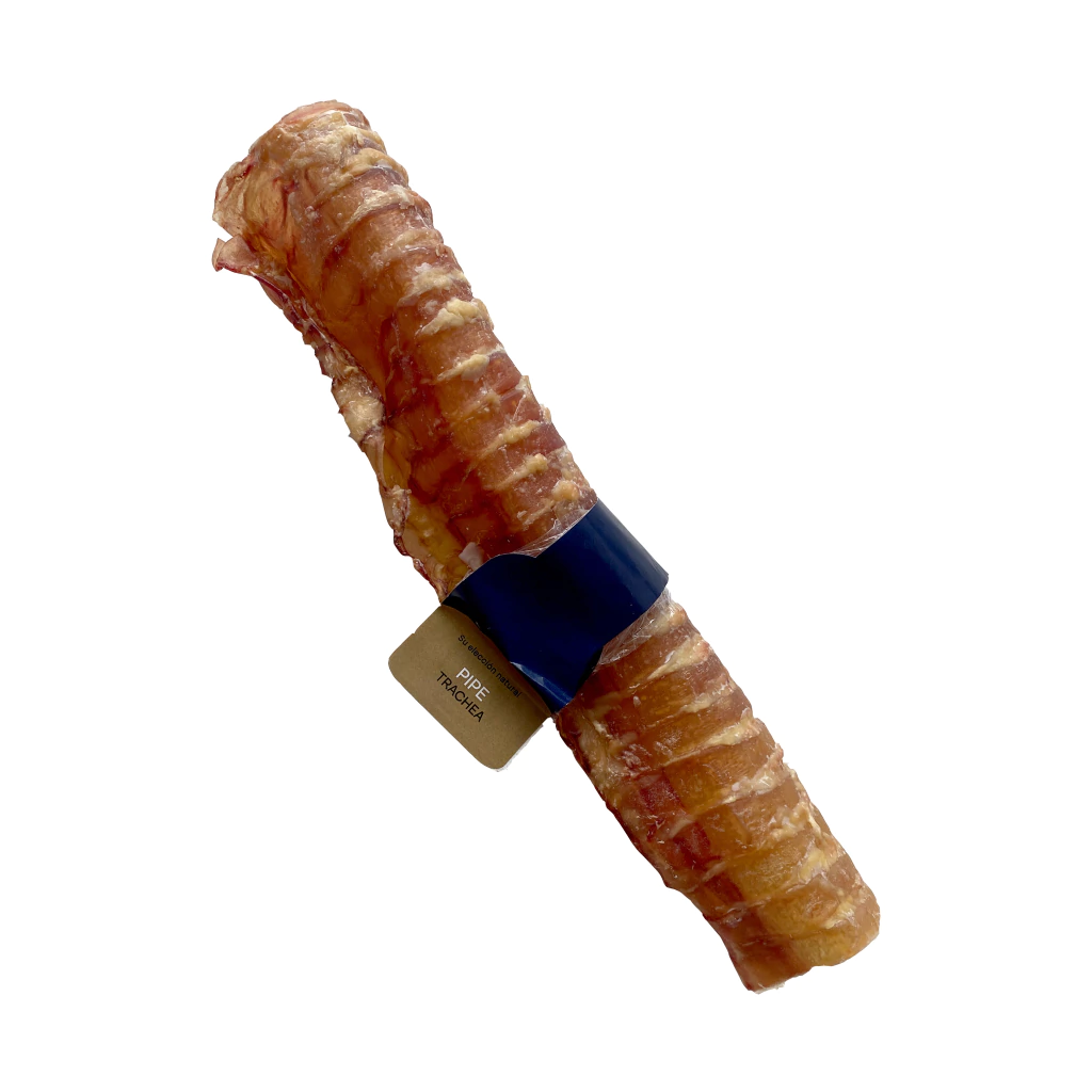 Bruler pipe long traquea