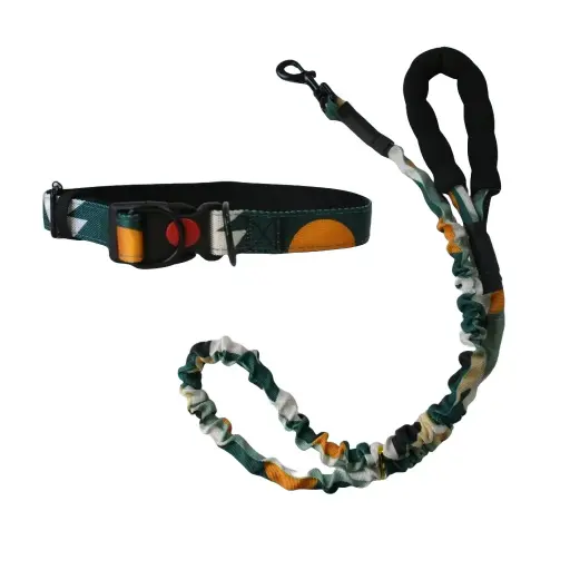 [8668240630016] Conjunto collar y correa estampado con mango acolchado